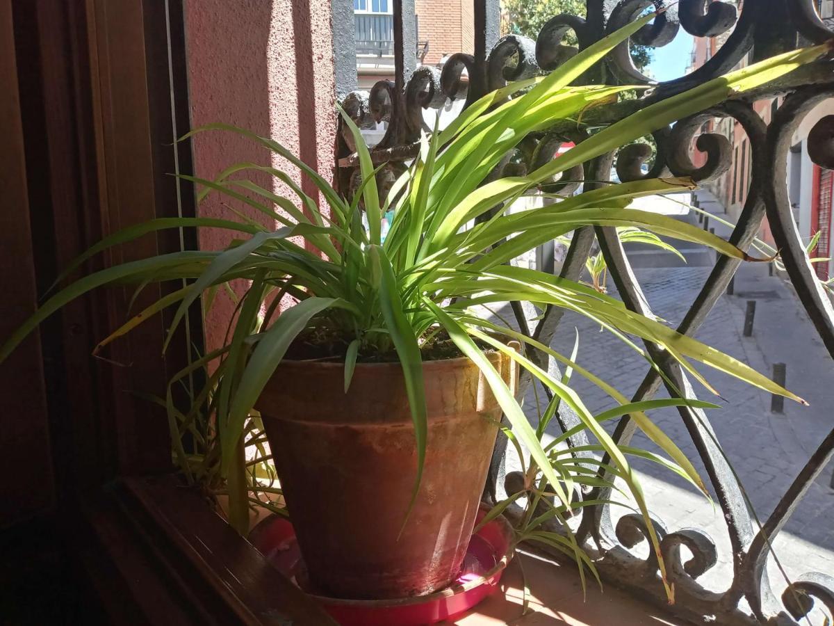 Apartamento Lavapies Al Lado Del Rastro *