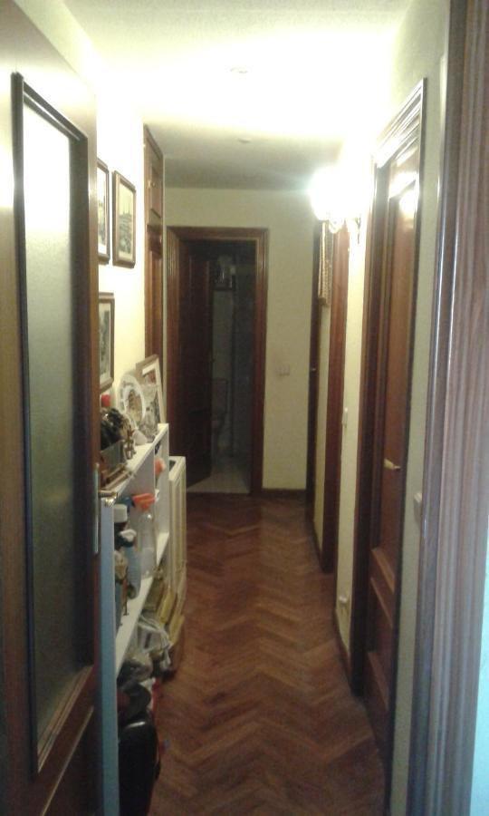 Mv *