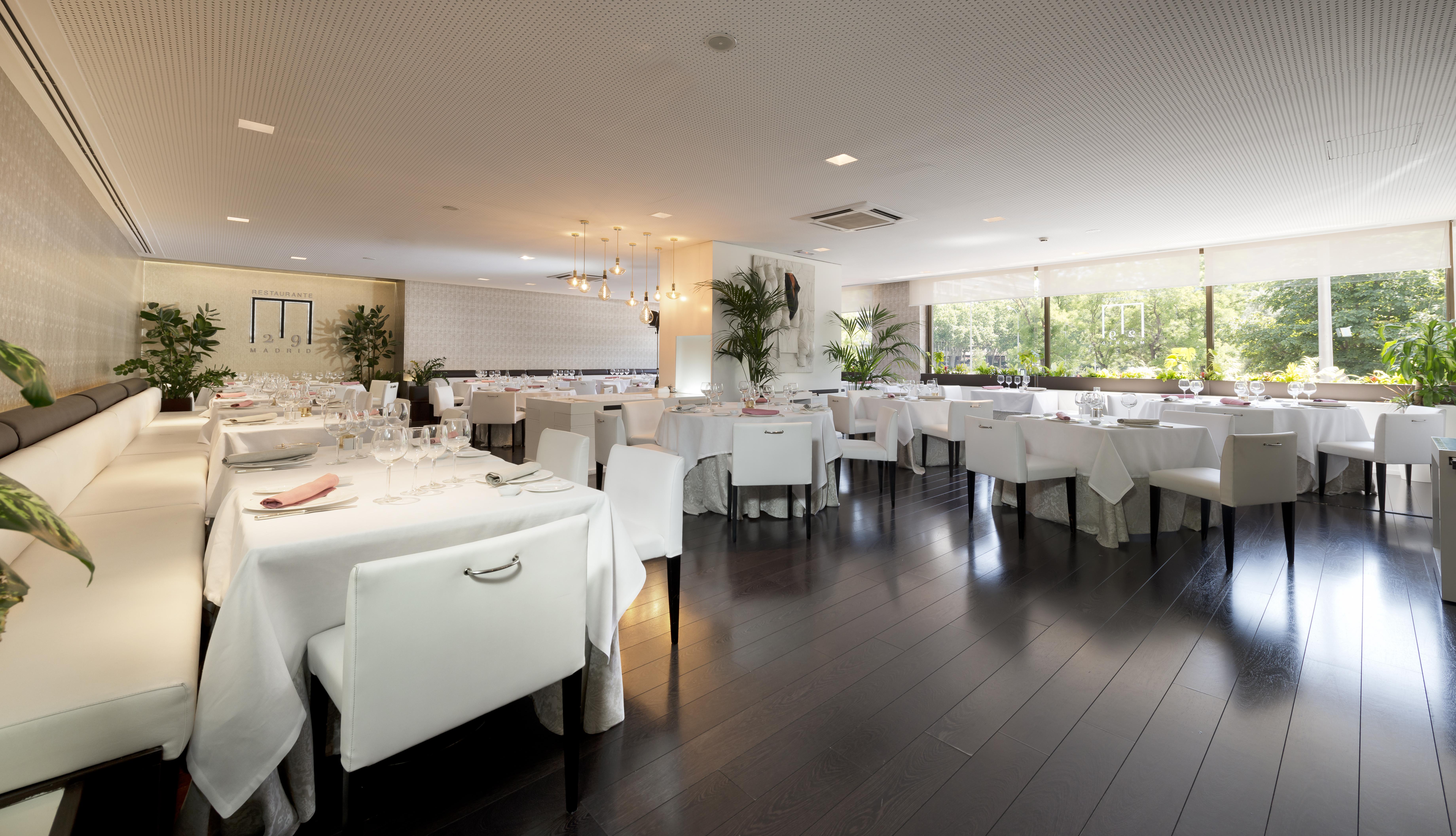 Hotel Miguel Angel Madri