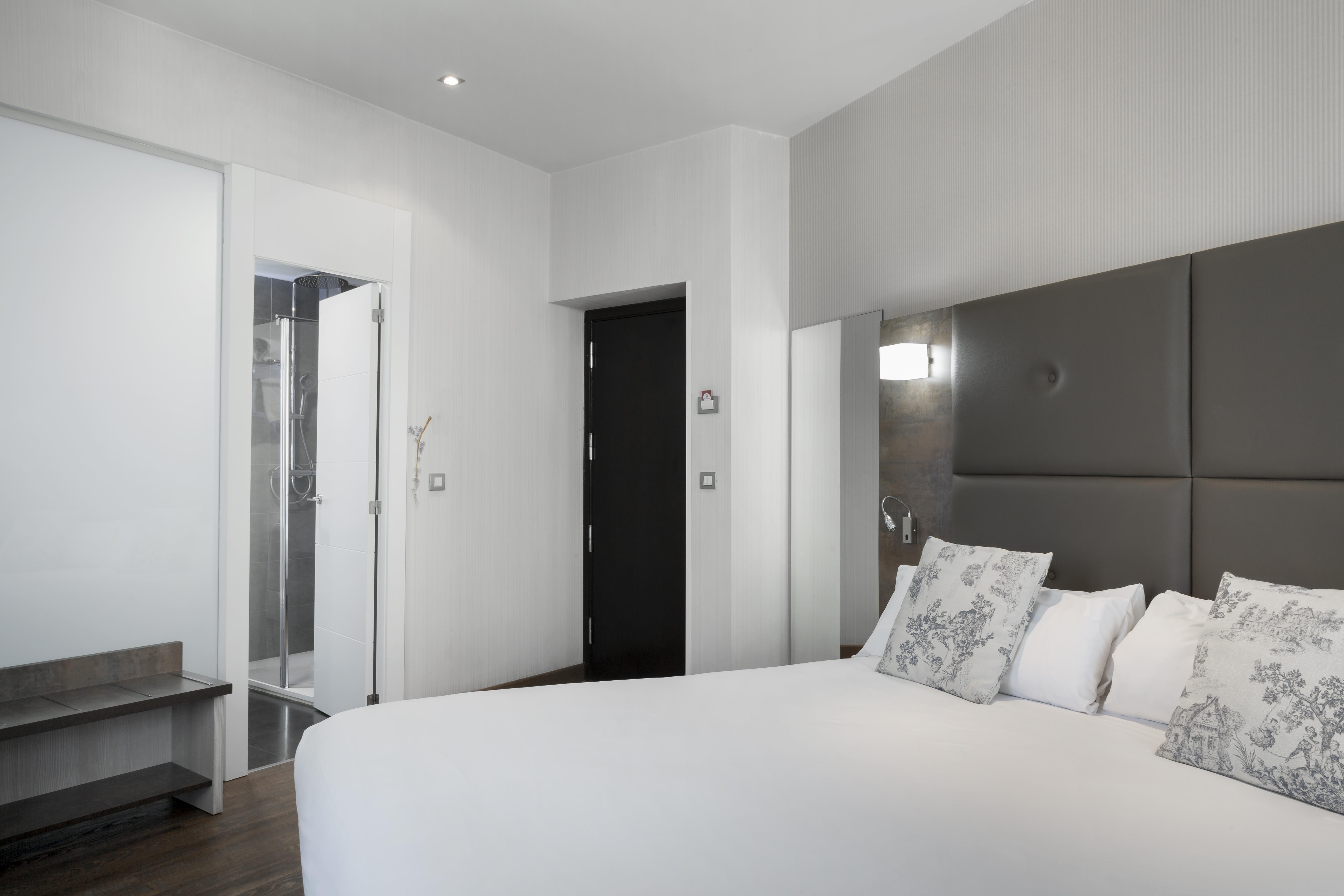Hotel Petit Palace Del Peine
