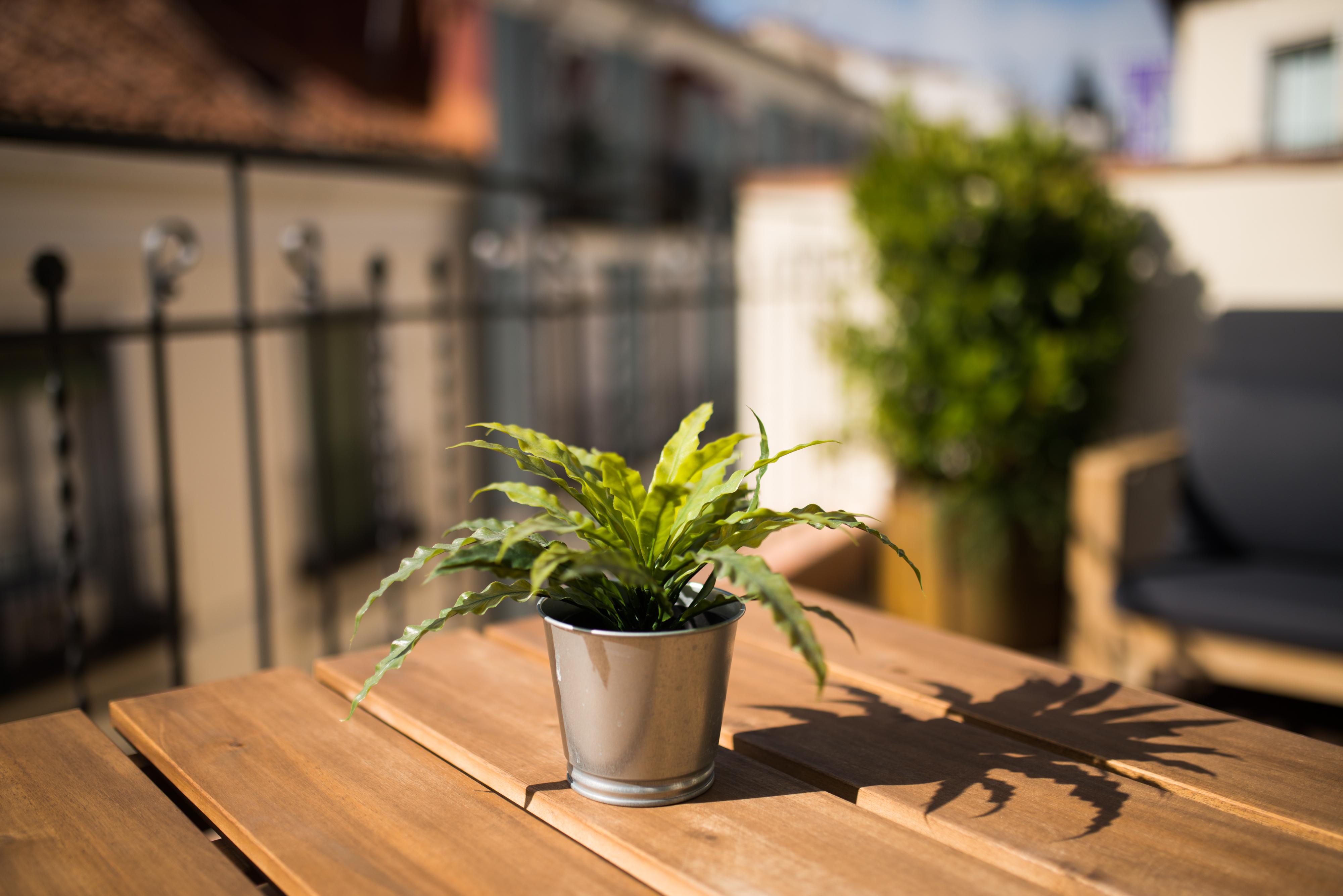 Apartamento Cruz Madrid