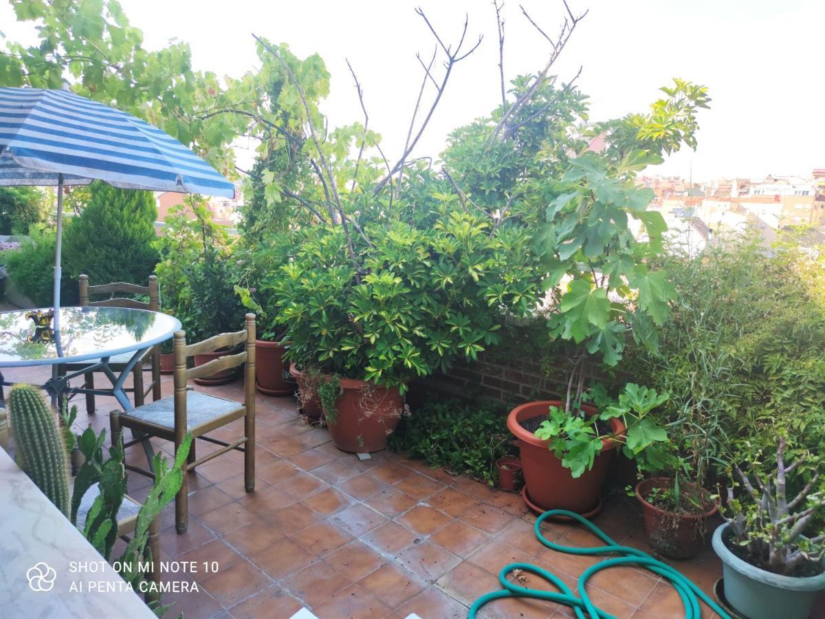 Mv Apartamento *