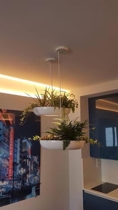 Centro Diseño La Latina Wifi