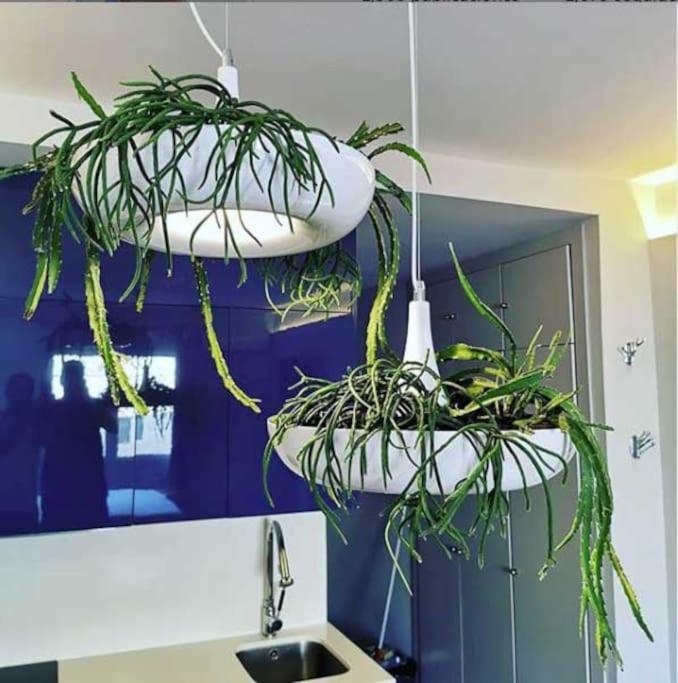 Apartamento Centro Diseño La Latina Wifi *
