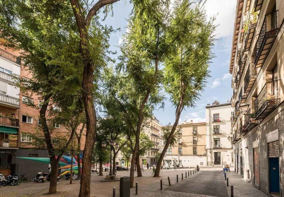 Estudio Lavapies Cerca De Anton Martin *