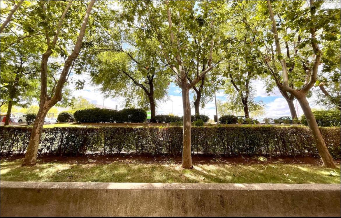Apartamento Maximilian Dreams