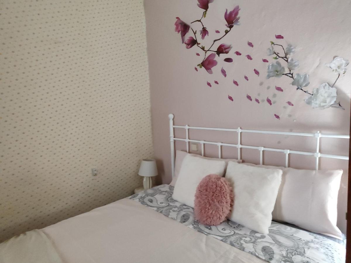 Homestay Maravillosa En Apartamento Compartido Centro *