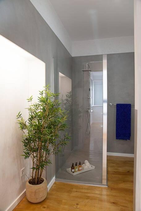Cozy B&B In The Center Of Madrid Apartment