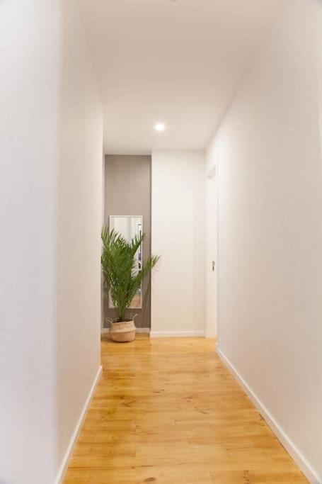 Apartamento En El Centro La Ciudad Apartamento *