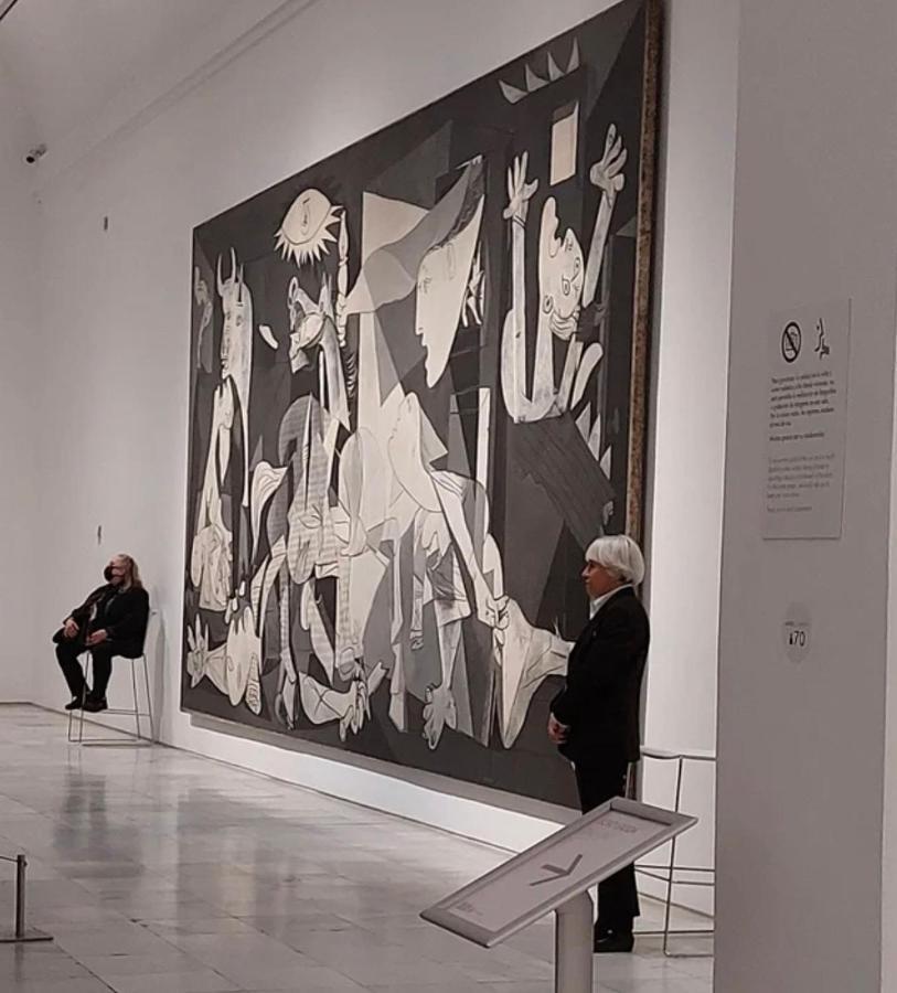Reina Sofia Museum House * Madrid
