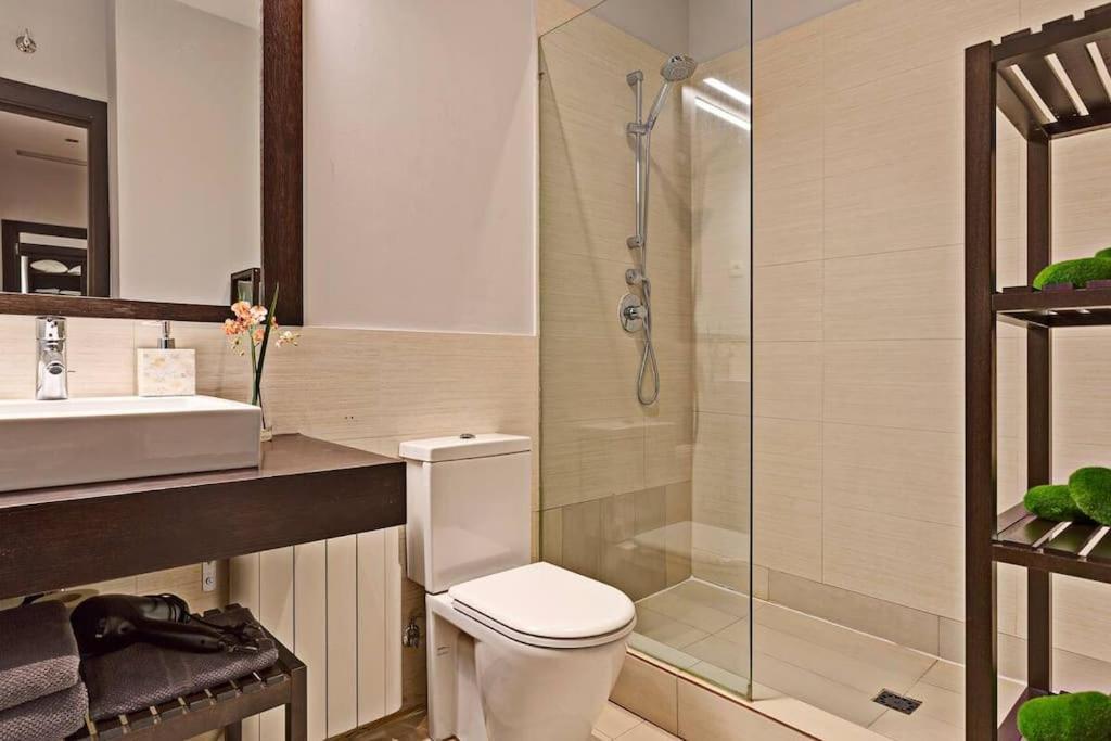 Apartment Spacious Luxury 1br In Centro! S.an