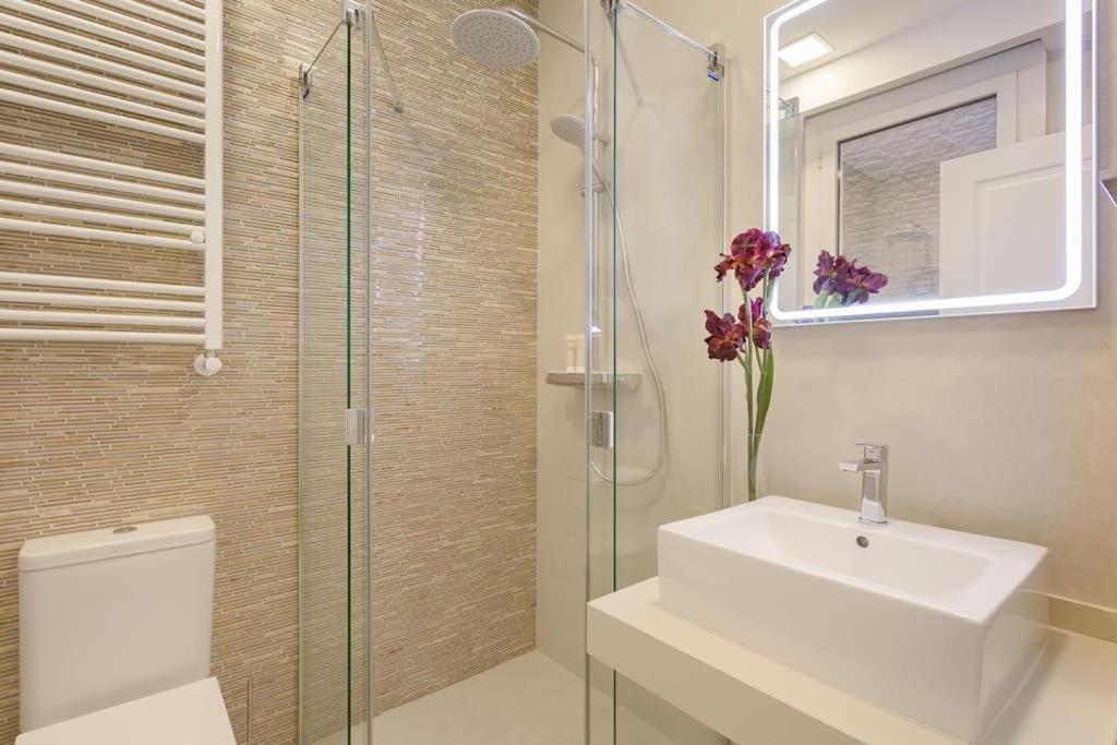 Apto Junto Al Retiro Y Barrio De Salamanca Madrid