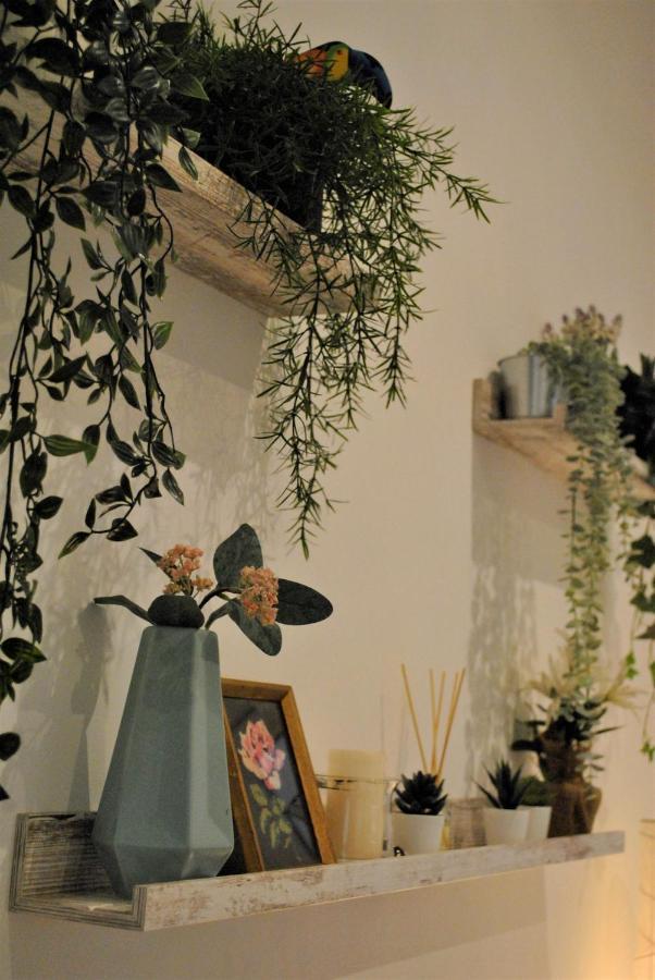 Piruli Home- Cozy With Patio * Madrid