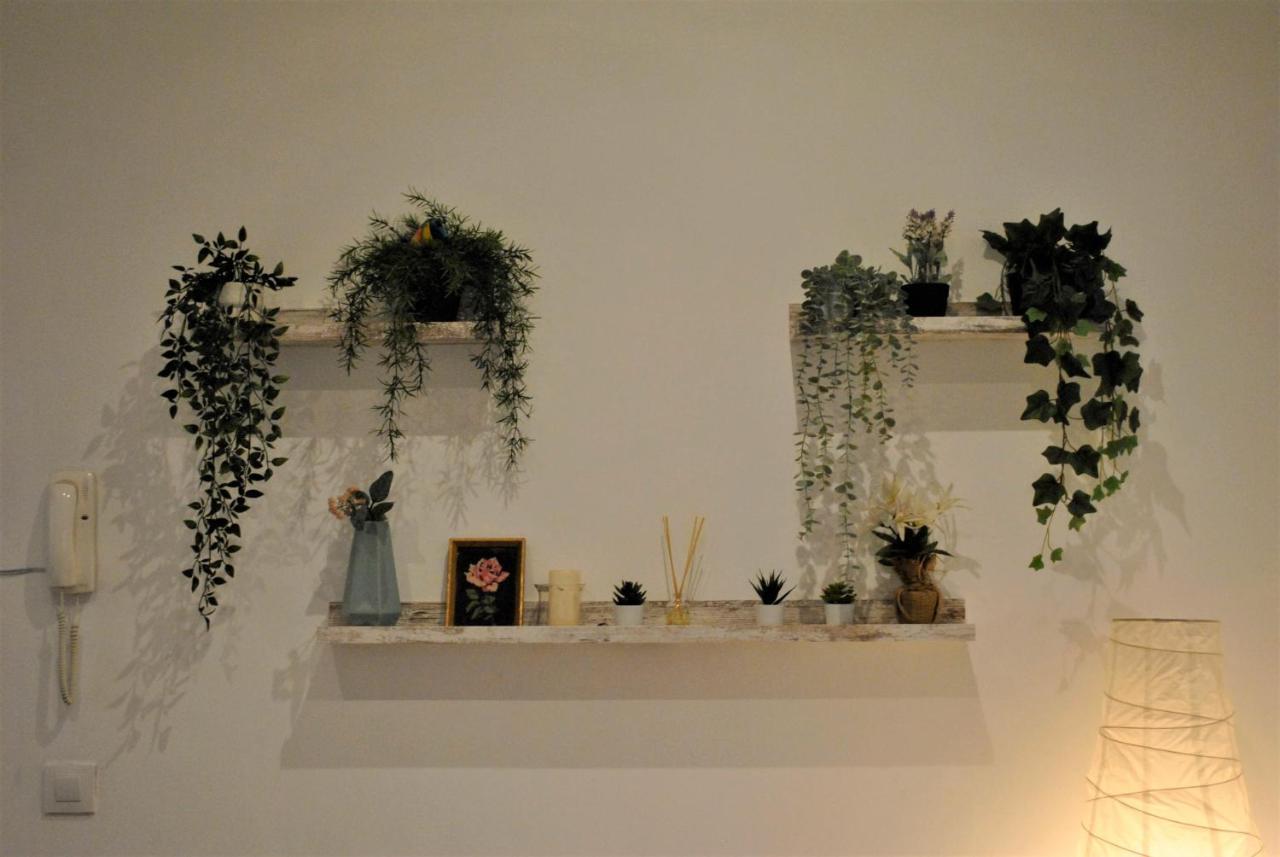 Piruli Home- Cozy With Patio Apartment Madrid