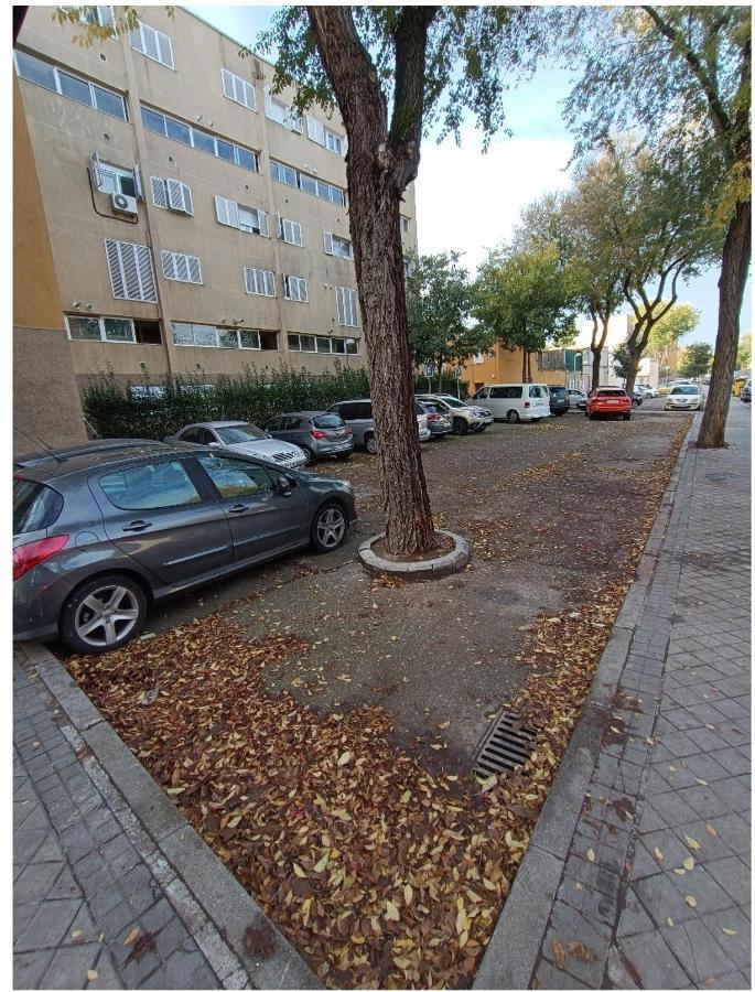 Amplia En Vivienda Duplex Madri