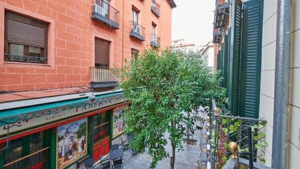 Maravillosa En Apartamento Compartido Centro *
