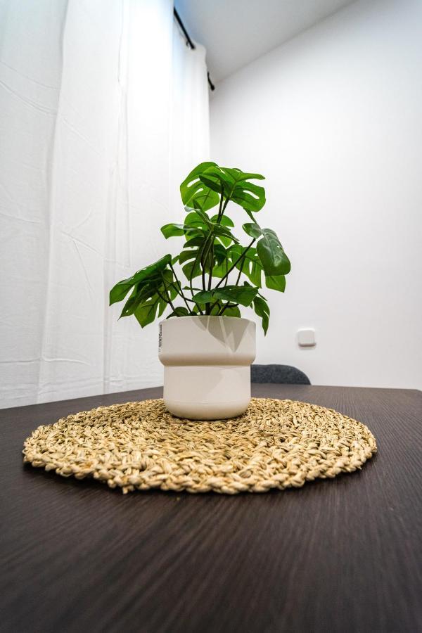 Apartamento Encantador Lugar En Cuatro Caminos By Bebalmy Madri
