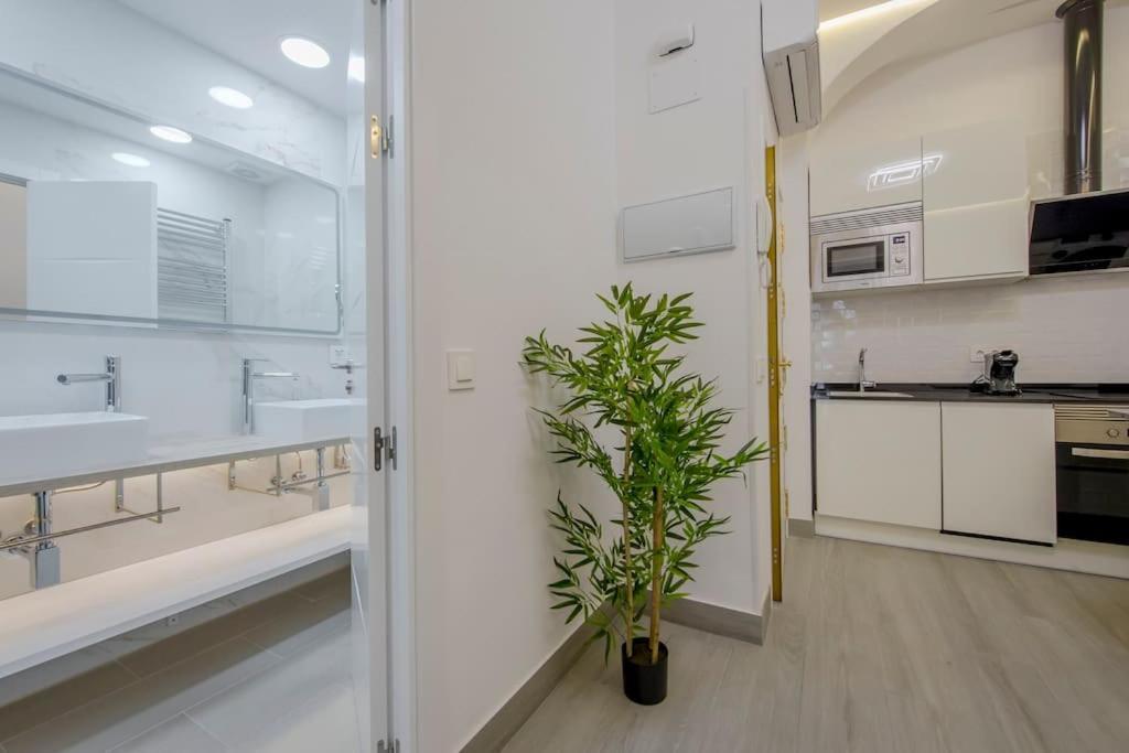 Suara 2 Apartamento Madri
