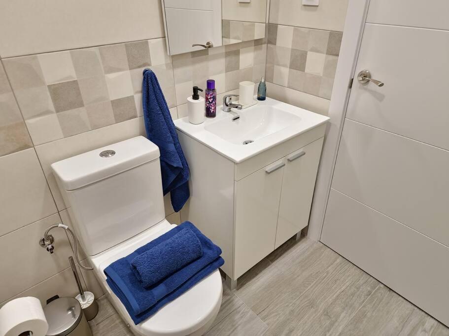 Bielsa 'madrid Rio' Apartment *