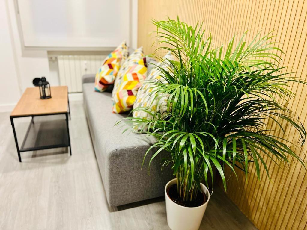 Flat Near Real Stadium