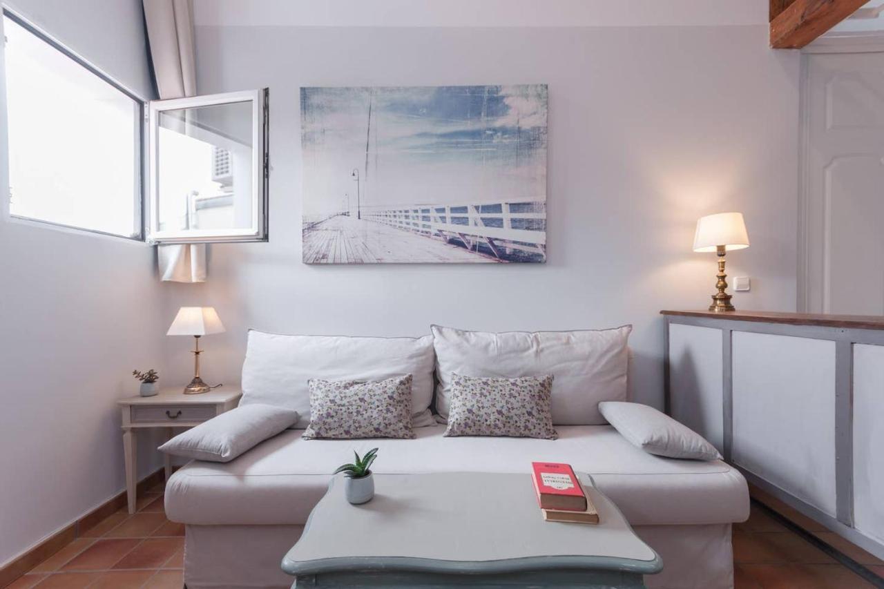 Apartment Cozy One-bedroom Penthhouse La Latina Madrid
