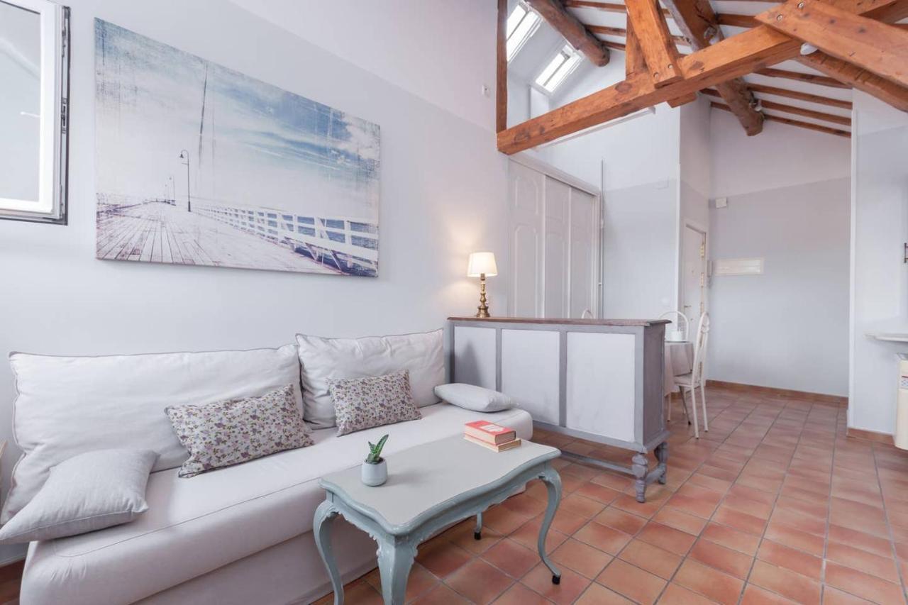 Cozy One-bedroom Penthhouse La Latina Madrid