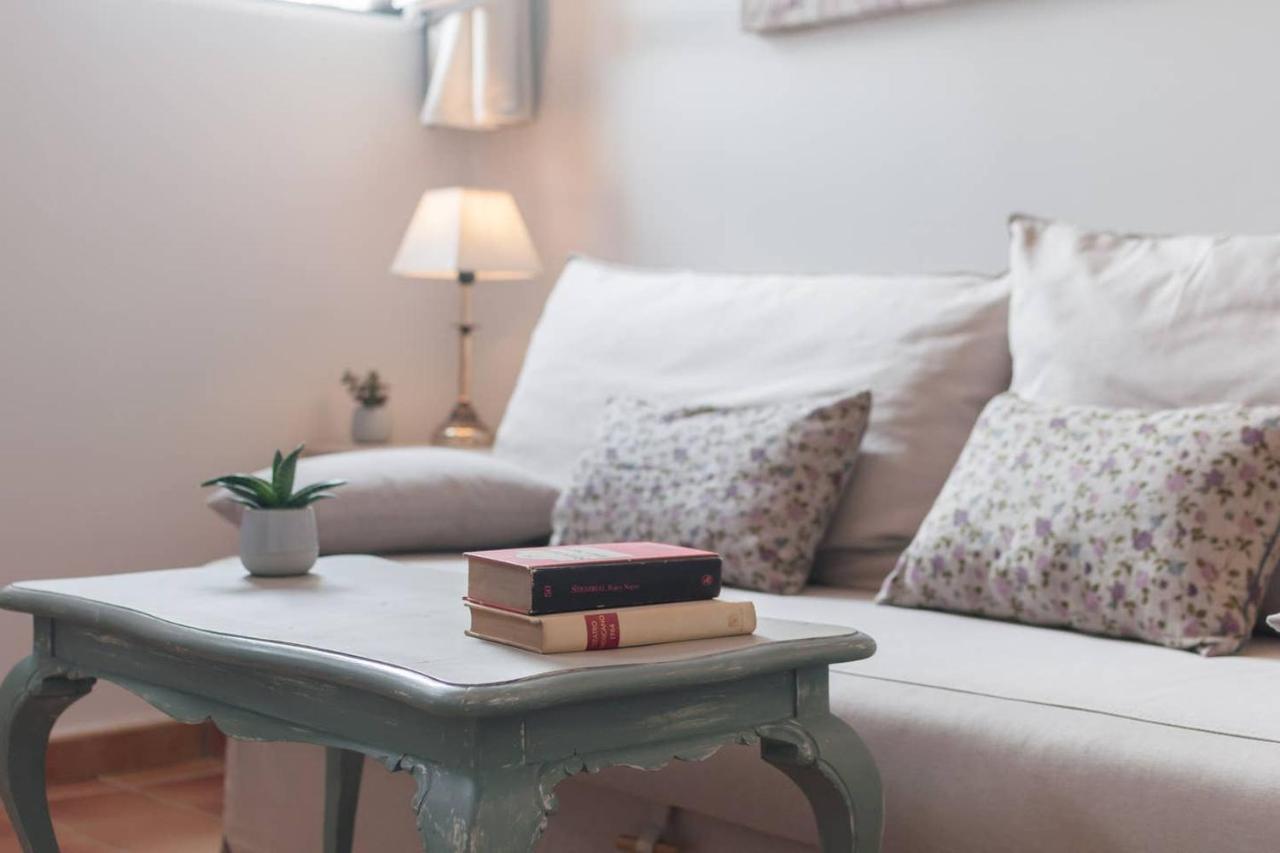 Cozy One-bedroom Penthhouse La Latina Apartment