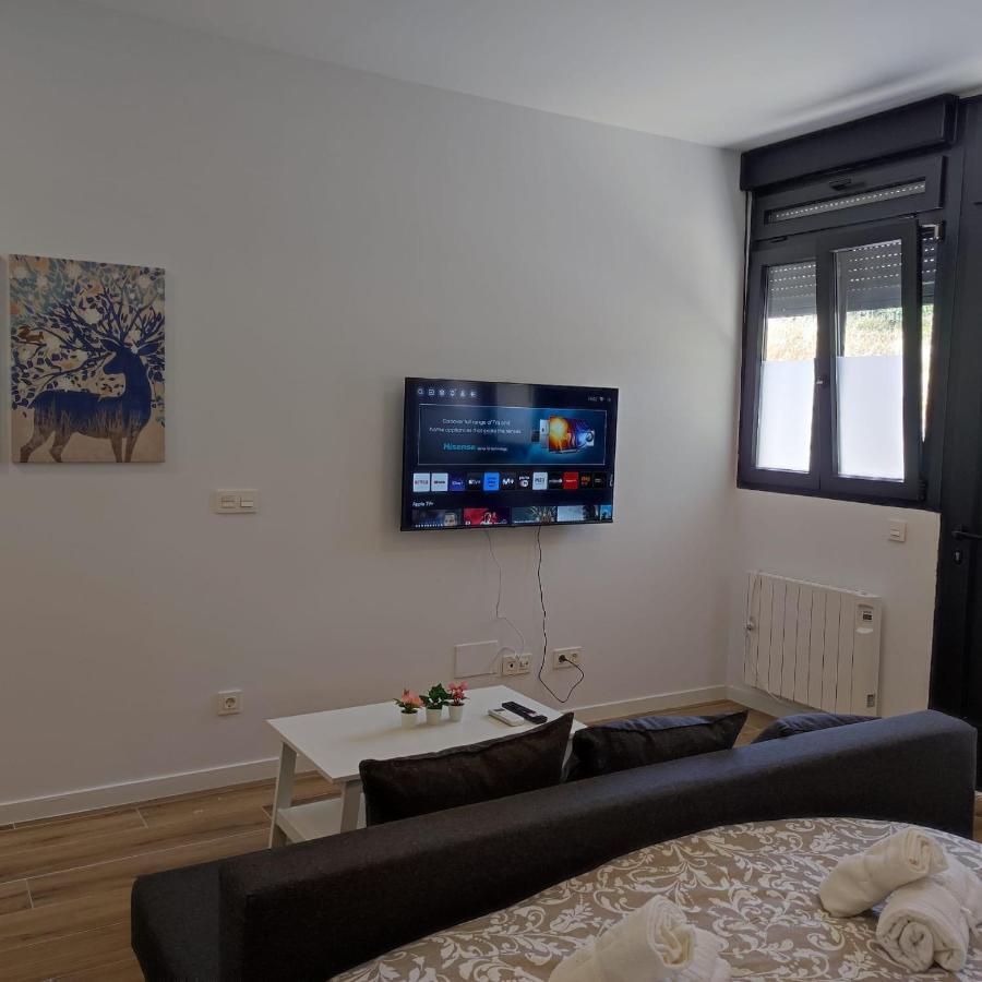 Manzanares Apartamento *