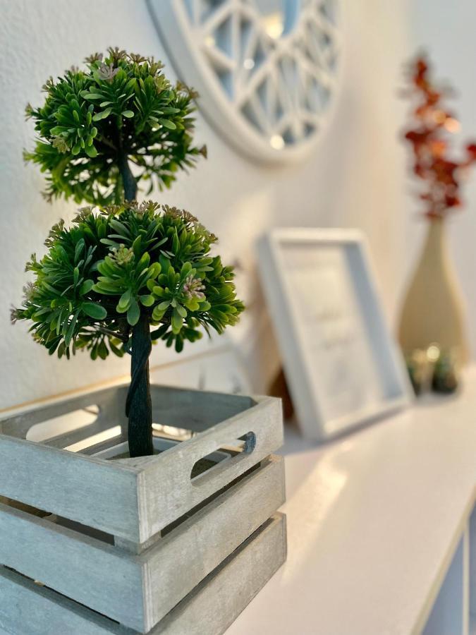 Apartment Charming Velarde Malasana Madrid
