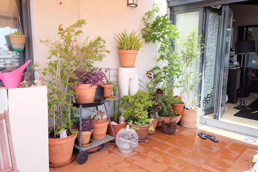 Paseo Acacias 8, Atico Con Terraza En Embajadores Apartamento *