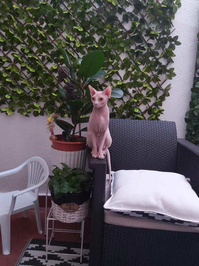 Hospedagem domiciliar Casa De Ciss Madri