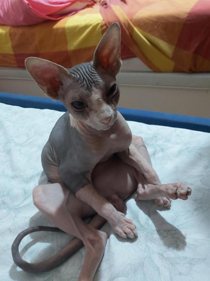 Casa De Ciss Hospedagem domiciliar *