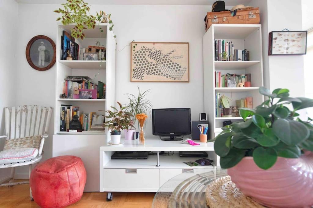 Apartamento Piso Centrico, Bonito, Acogedor Rodeado De Y Buena Vibra