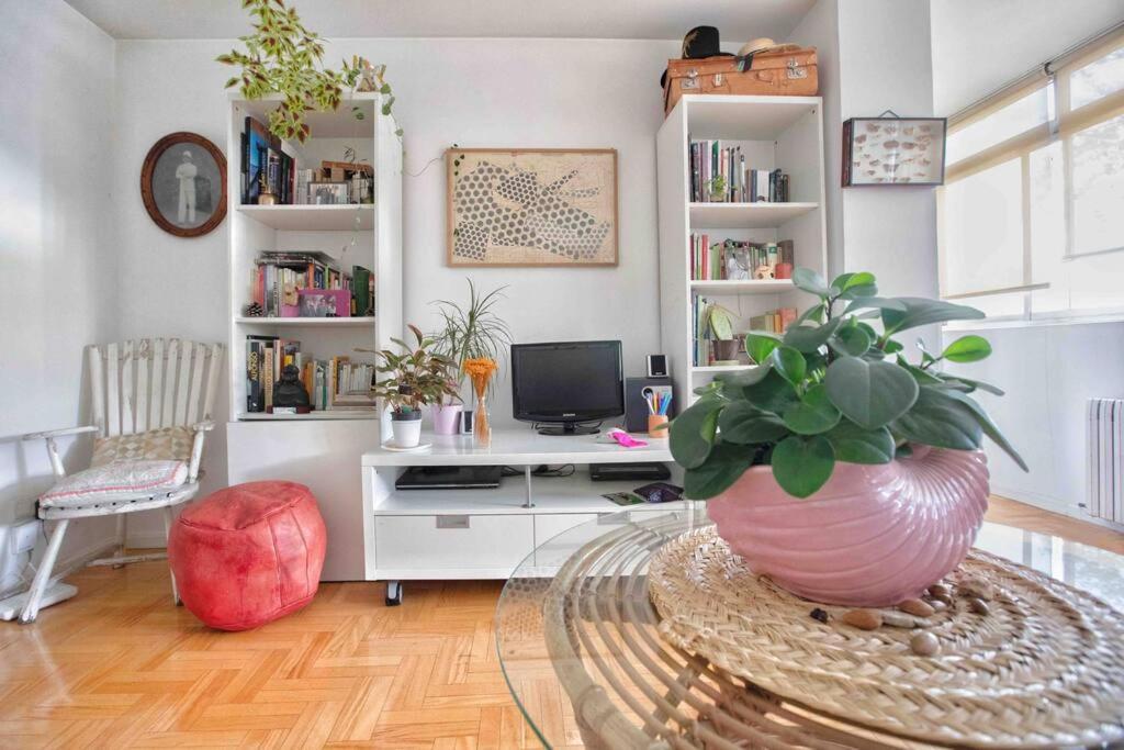 Apartamento Piso Centrico, Bonito, Acogedor Rodeado De Y Buena Vibra
