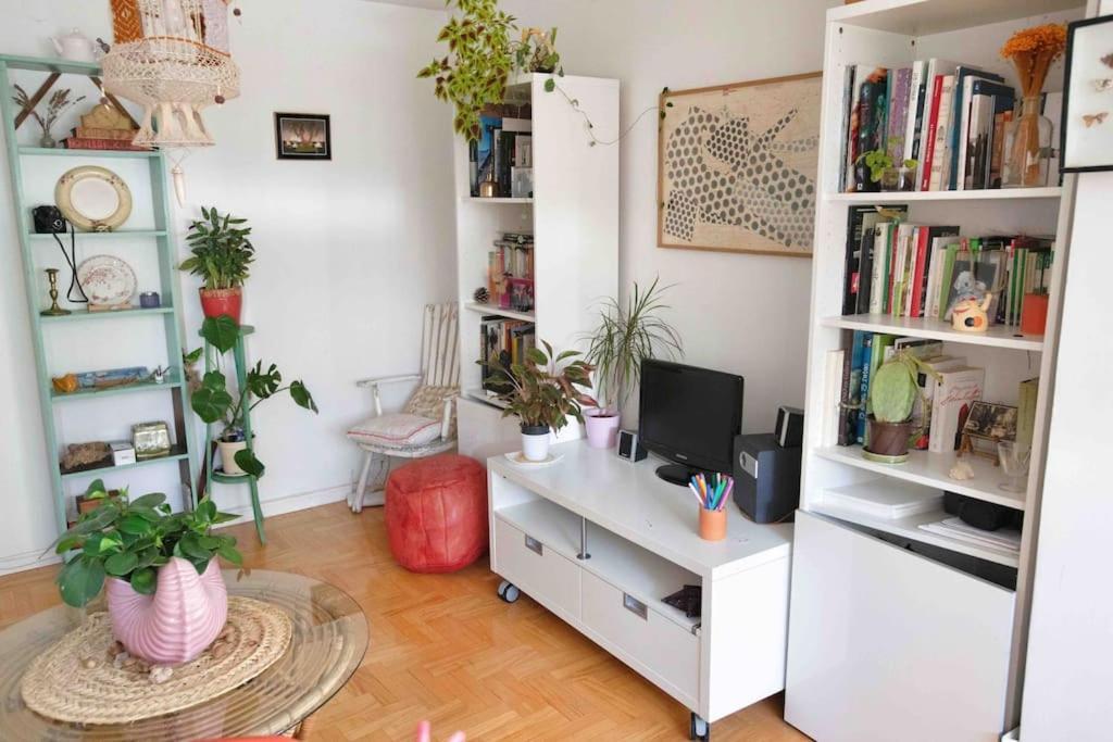 Piso Centrico, Bonito, Acogedor Rodeado De Y Buena Vibra Apartamento