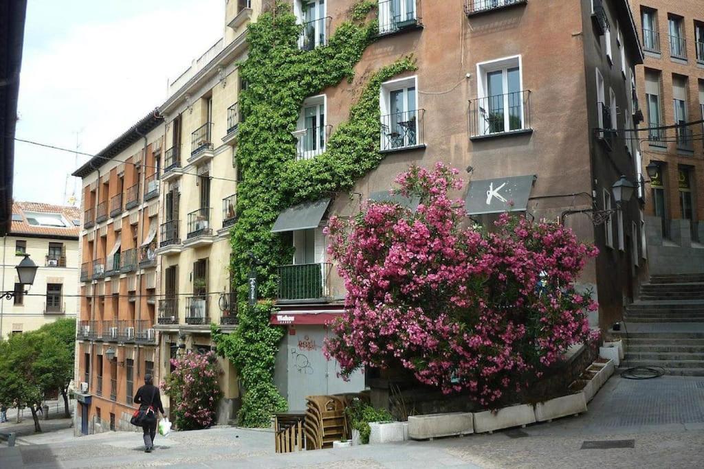 Apartamento Manfredo