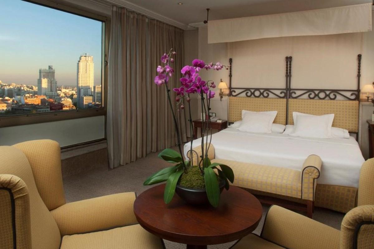 Hotel Princesa Plaza Madrid