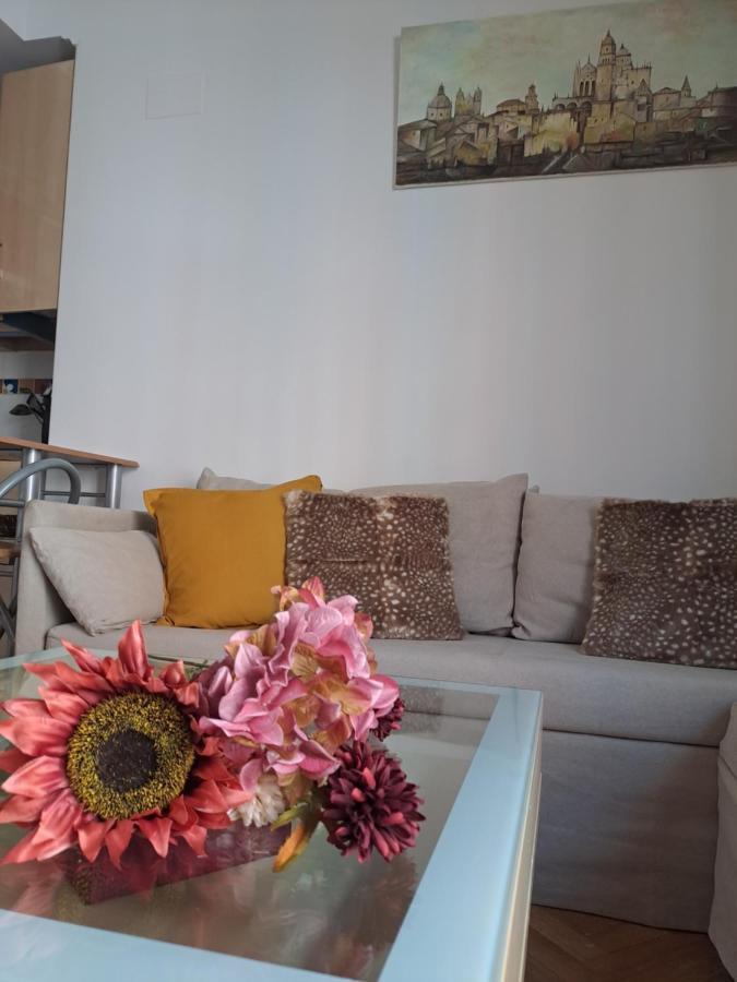 Apartamento Nuevo En El Centro De Apartment