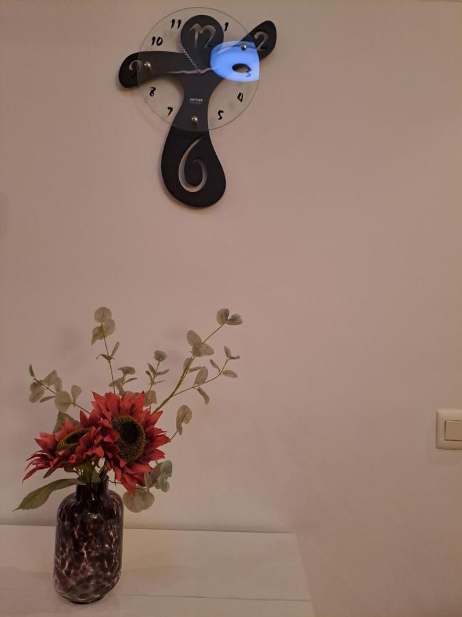 Apartamento Nuevo En El Centro De Apartment *