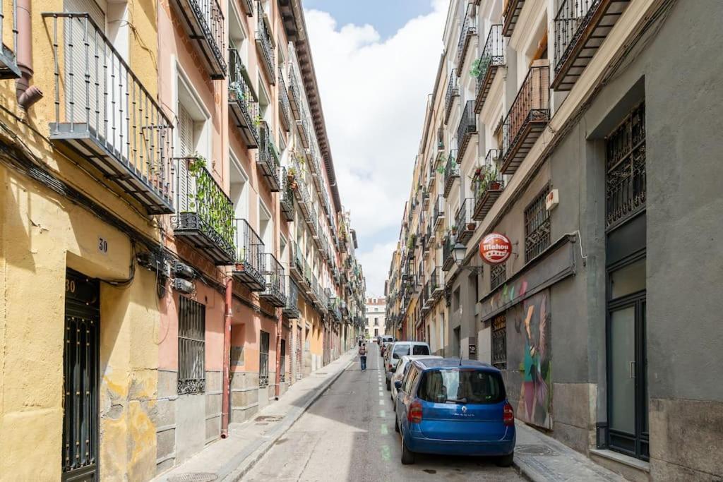 Apartment Flat In Lavapies At Street Level S23c *