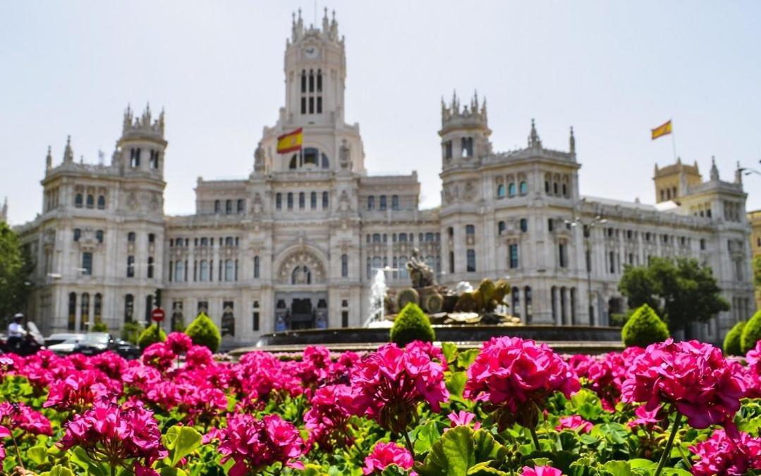 Petit House Center Madri