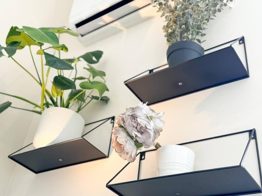 Apartamento Cozy In The Heart Of Chueca *