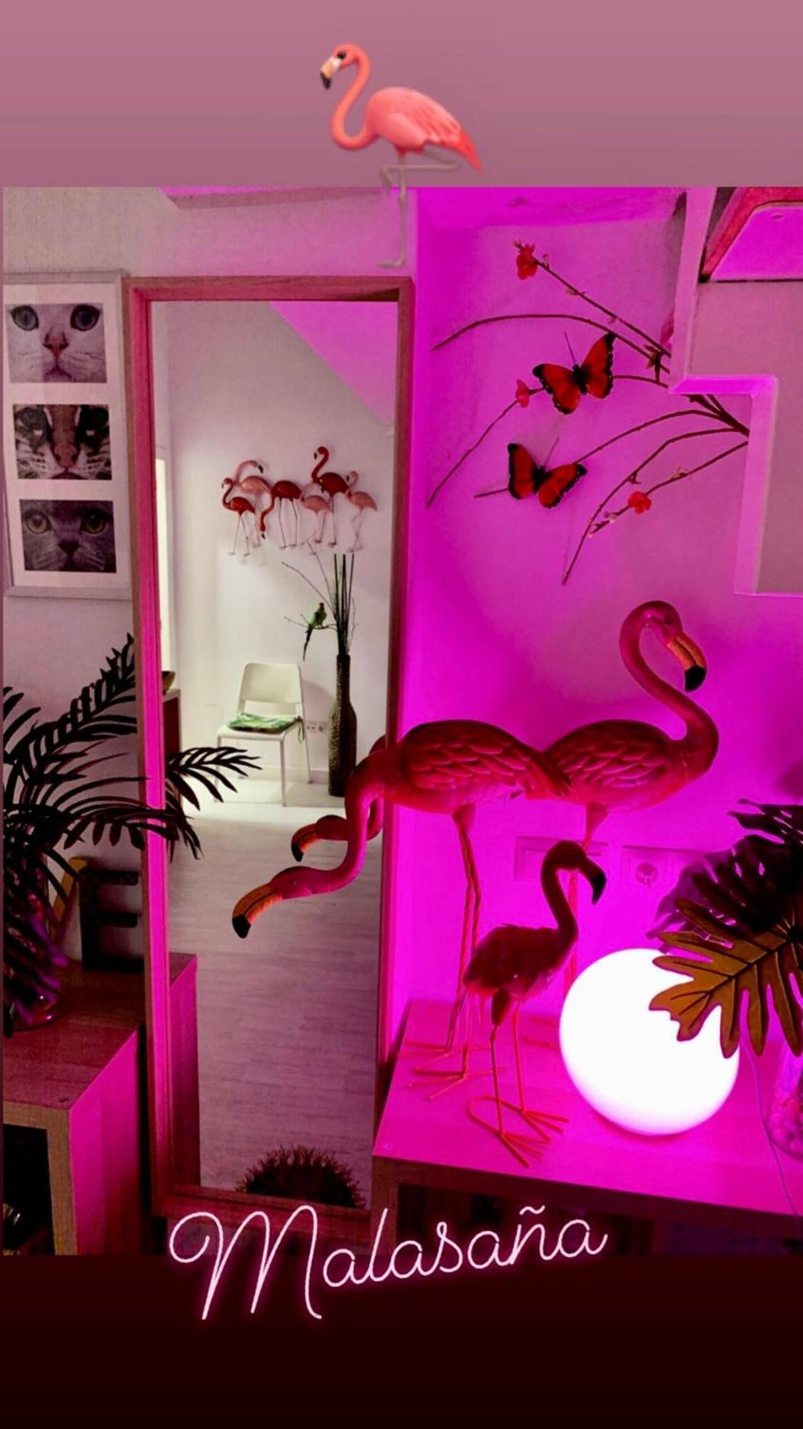 Flamencos, Malasana Loft 45mq Apartamento