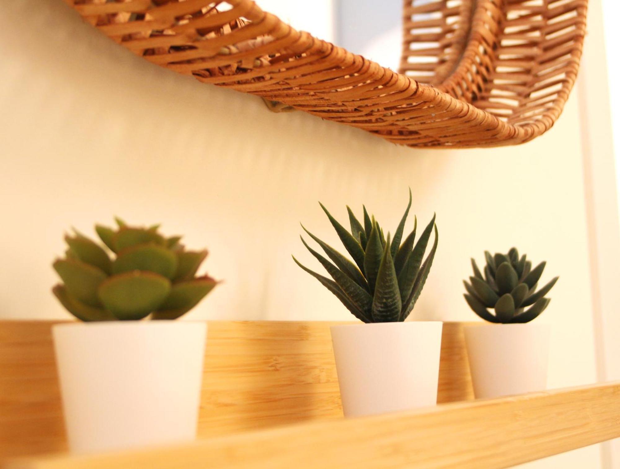Marques De Zafra - Ventas Apartment Madrid