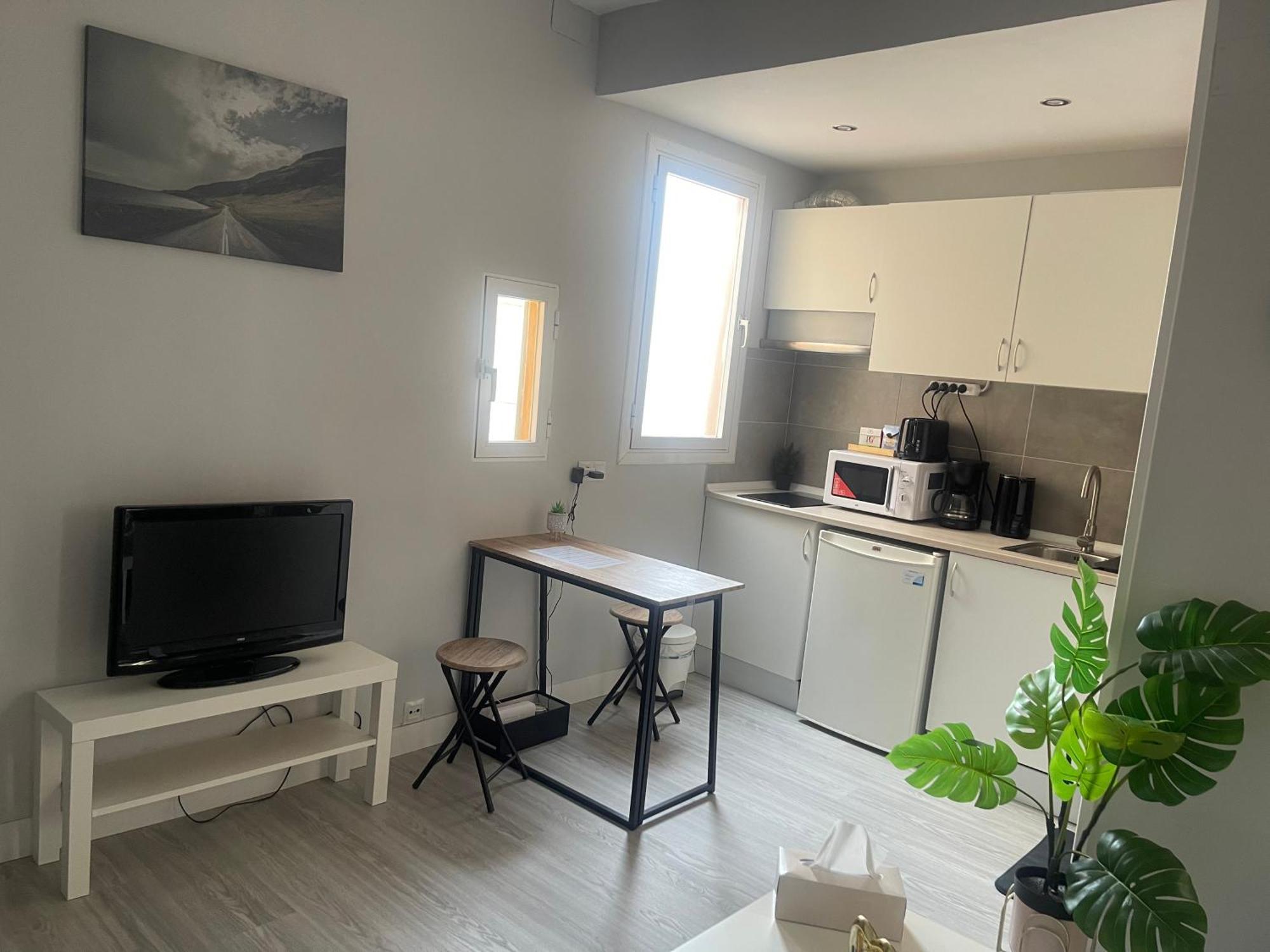 Apartment Cenral Renovated Flat