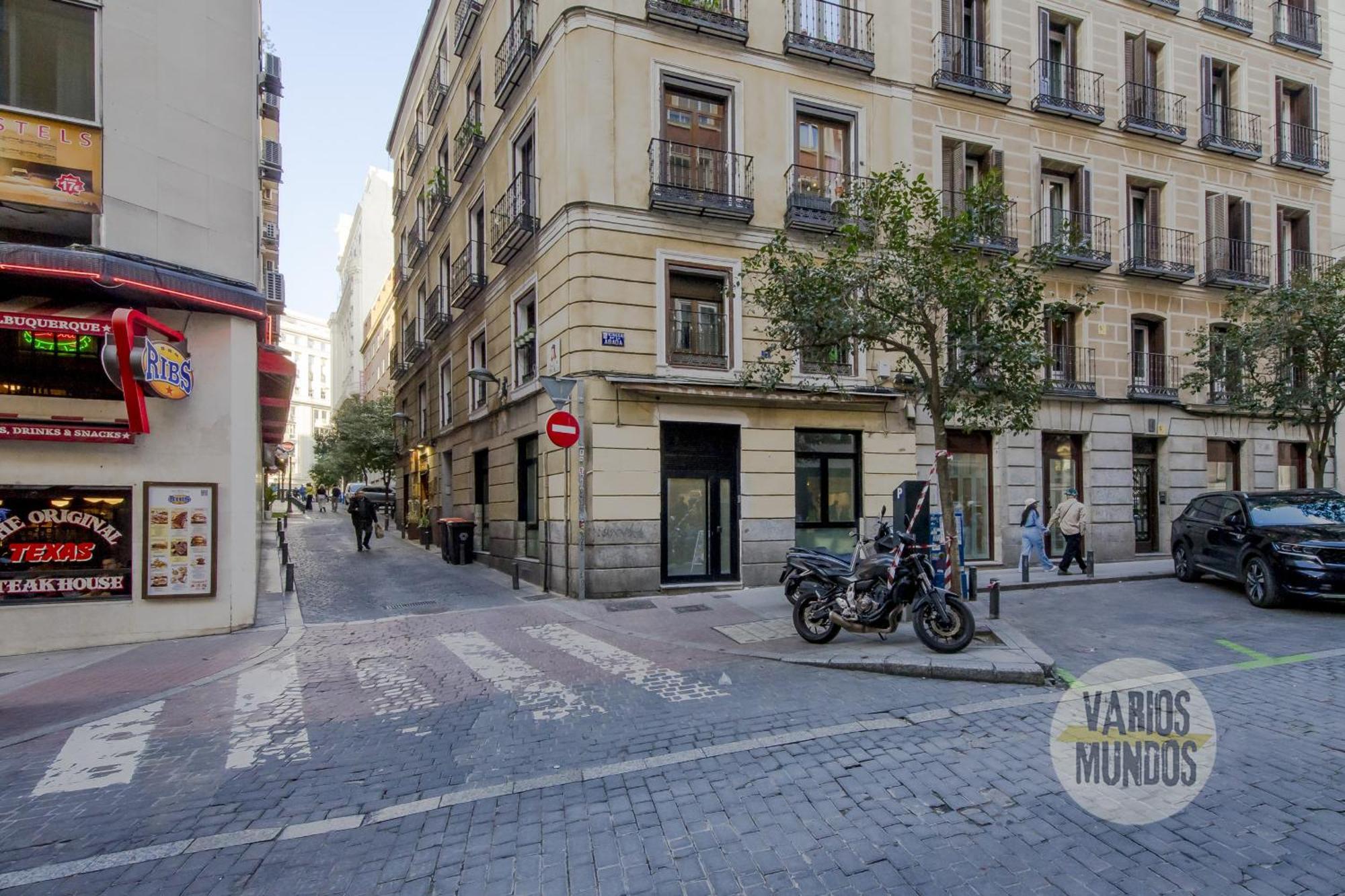 Deluxe En El Centro De 9pax E3 * Madrid