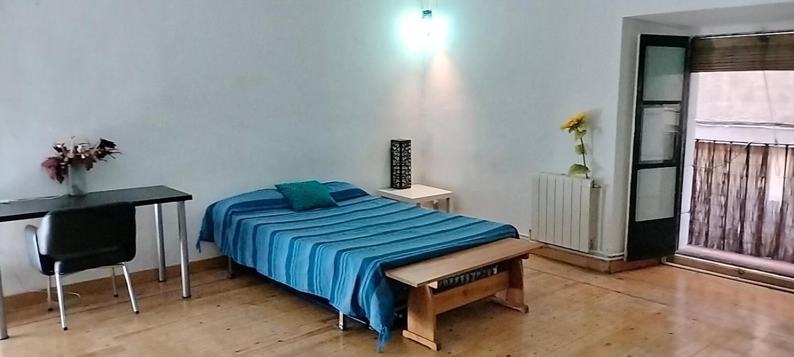 Homestay Gran Con Balcon En Tirso De Molina