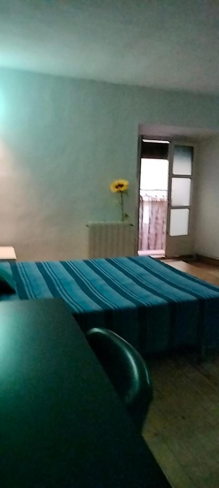 Homestay Gran Con Balcon En Tirso De Molina