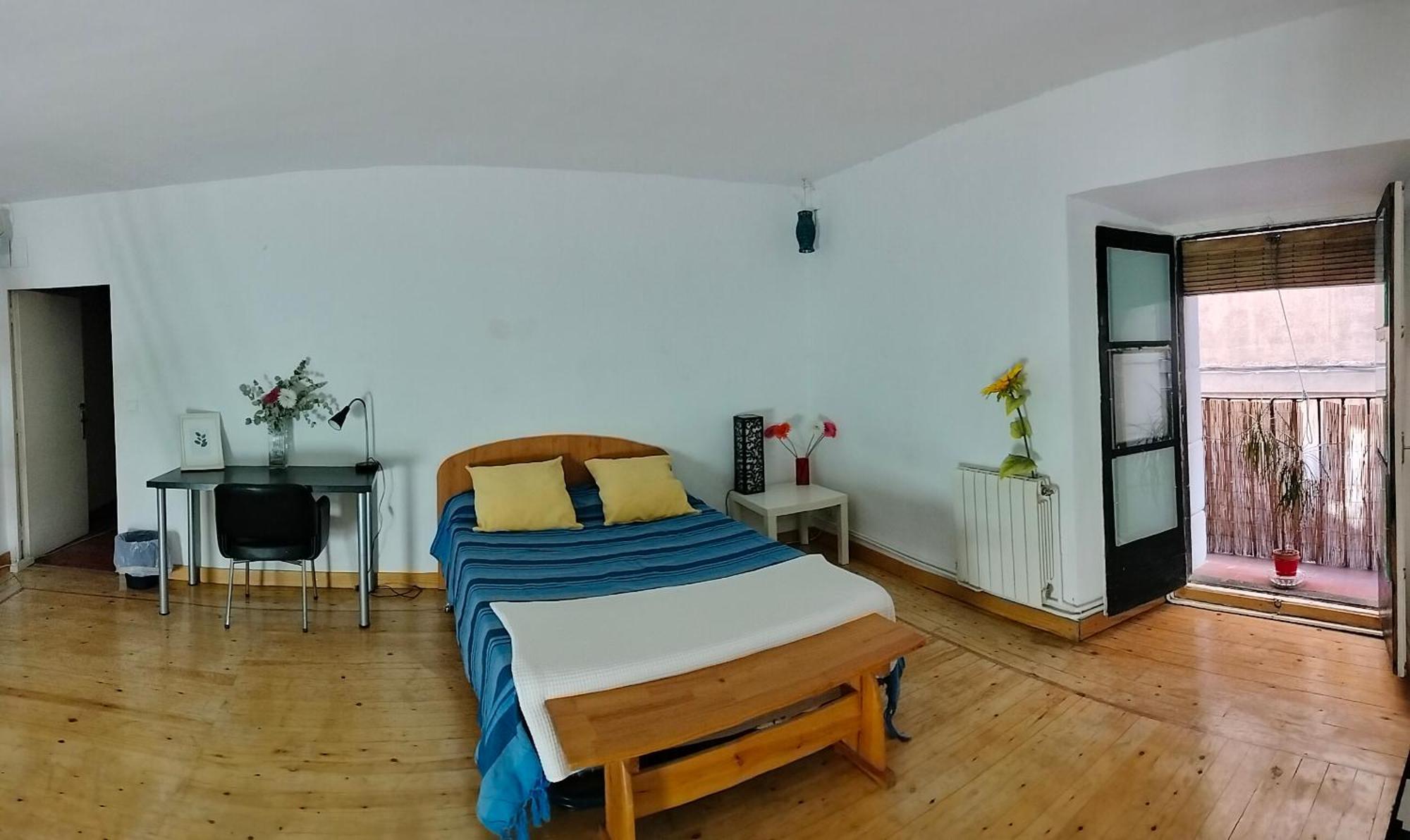 Gran Con Balcon En Tirso De Molina Homestay Madrid