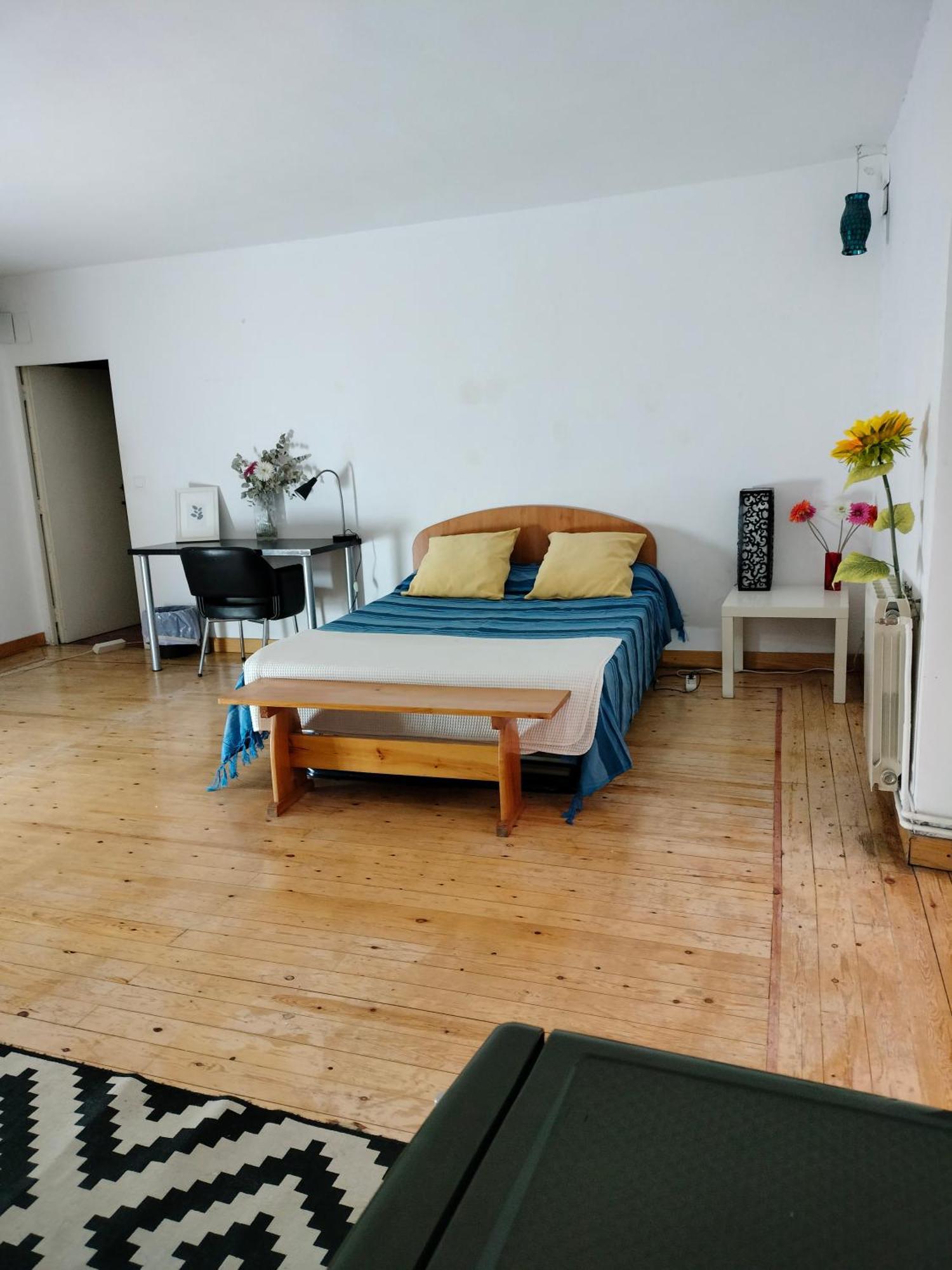 Homestay Gran Con Balcon En Tirso De Molina